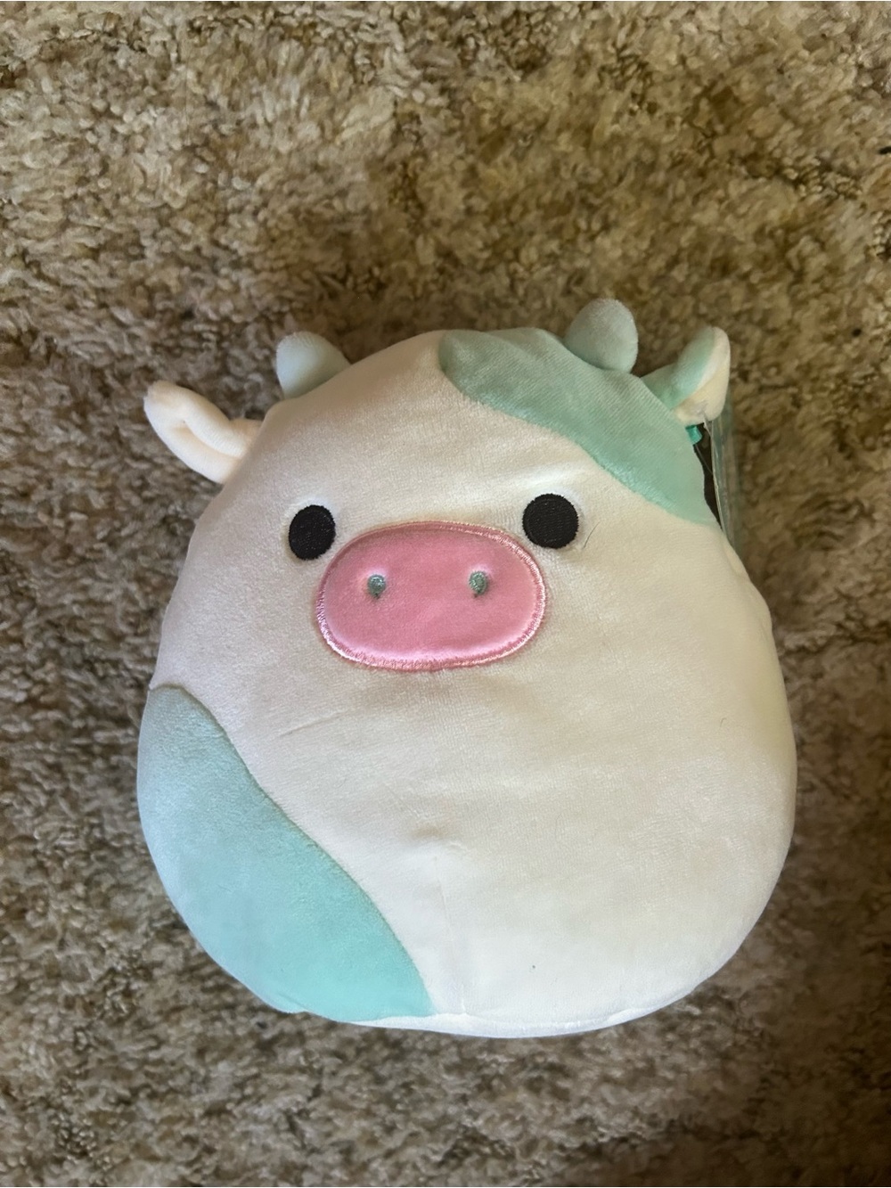 Squishmallows Blue Cow Belana Plush Stuffed Animal 7”
